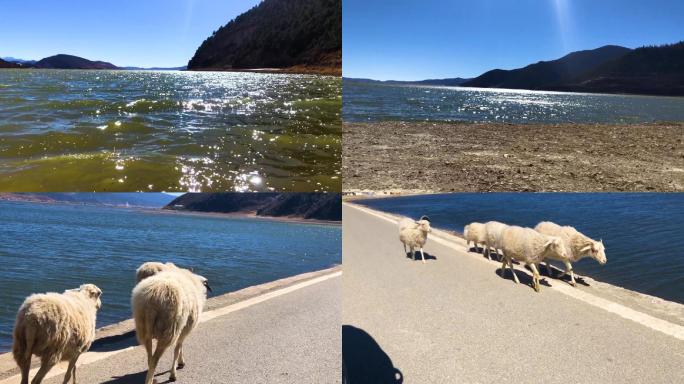 60f高原湖泊香格里拉纳帕海