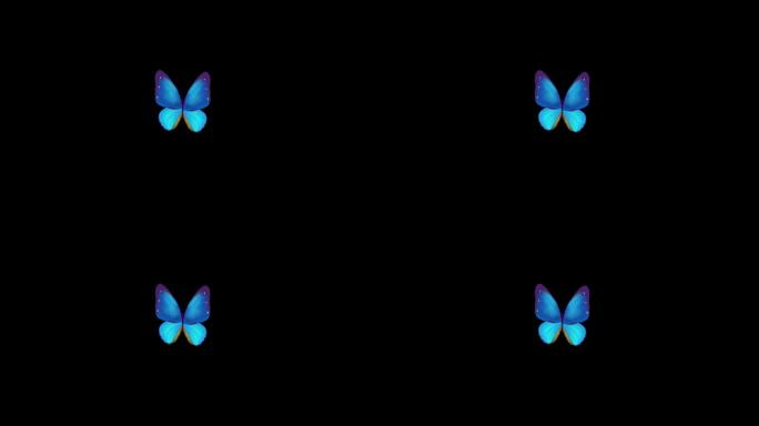 蝴蝶-无缝循环透明通道