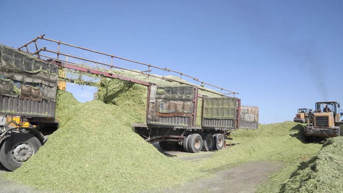 工厂卡车挖掘机机械作业农草食料