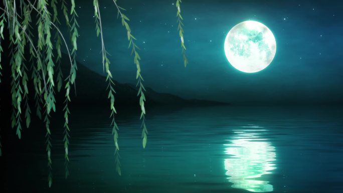 唯美夜晚垂柳月亮循环视频