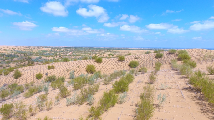 沙漠生态环境治理飞播造林防护林沙尘暴减少