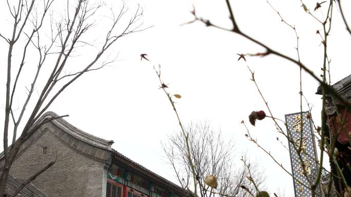 4K高墙实拍琉璃厂老北京古色古香鸽子飞过