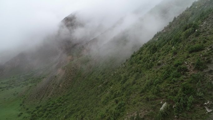 云蒸雾绕、烟雨蒙蒙祁连山(航拍穿云)