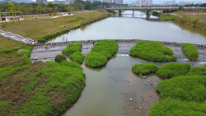 坪山河道