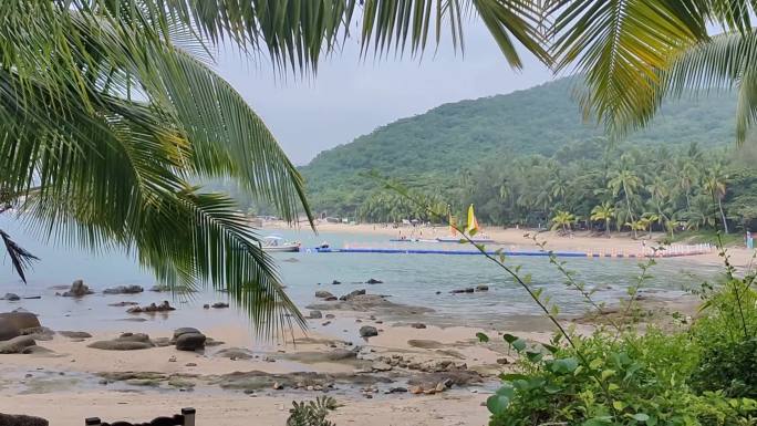 自然风光三亚椰子树海边沙滩