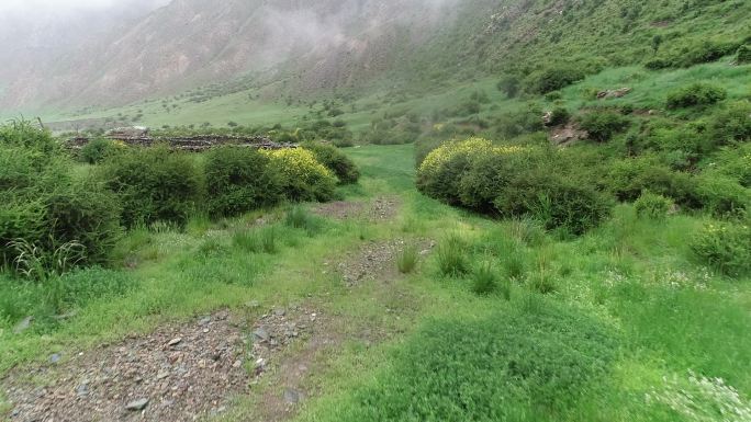 云蒸雾绕、烟雨蒙蒙祁连山(航拍)