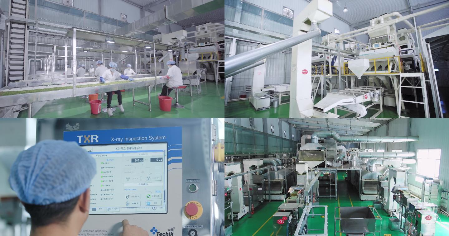 优质瓜子工厂智能化机械化生产