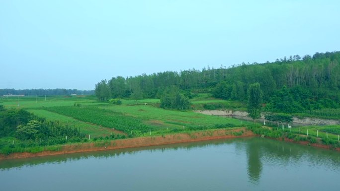 农村景象风景航拍