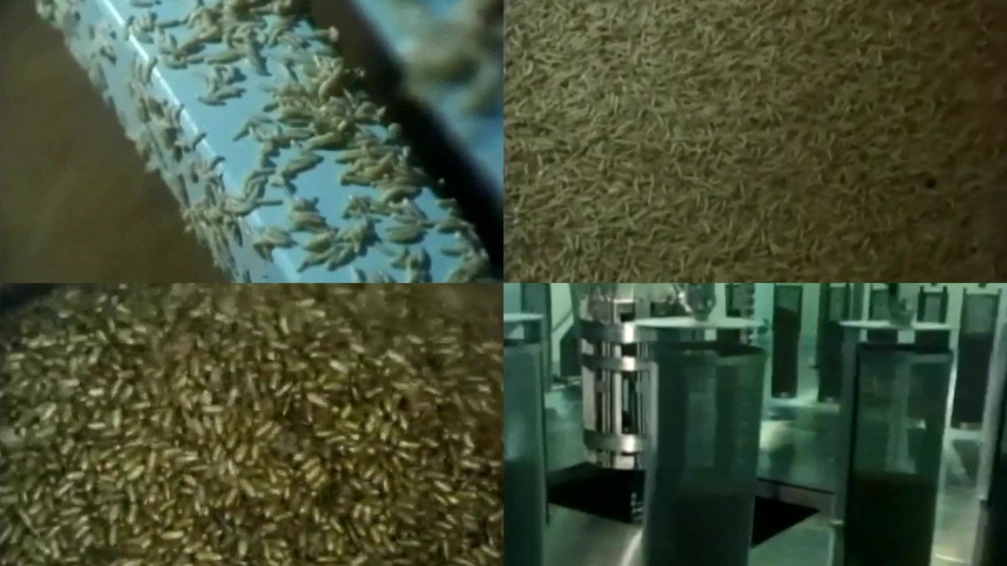 蜂王浆胶囊加工生产制造行业