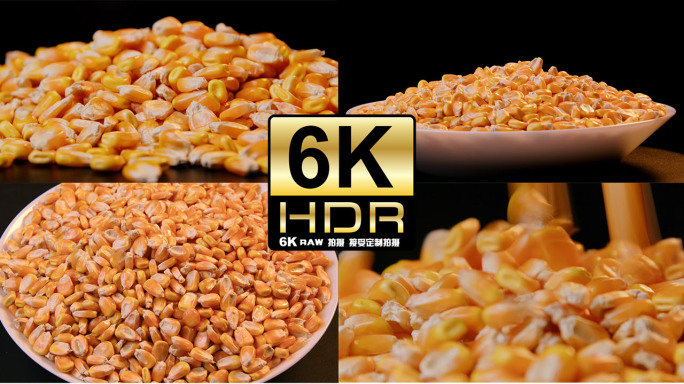 玉米粒6K素材