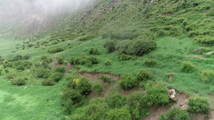 云蒸雾绕、烟雨蒙蒙祁连山(航拍)