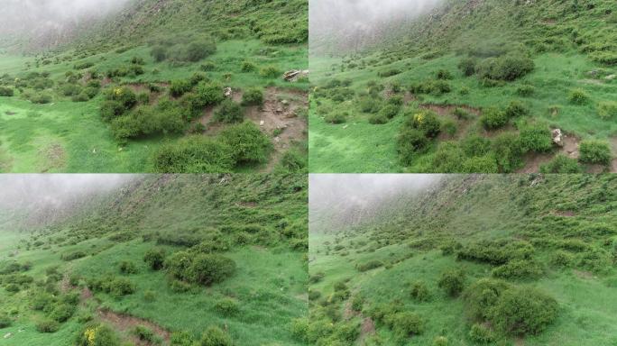 云蒸雾绕、烟雨蒙蒙祁连山(航拍)