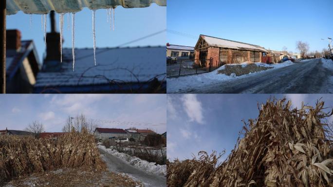 东北冰流子干玉米杆子村子
