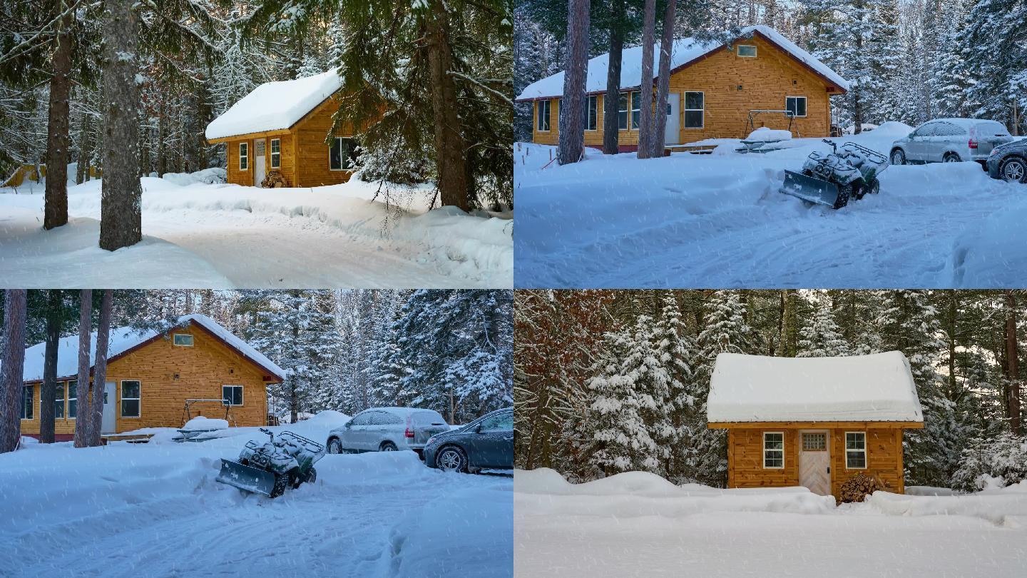 风雪覆盖松林和木房子
