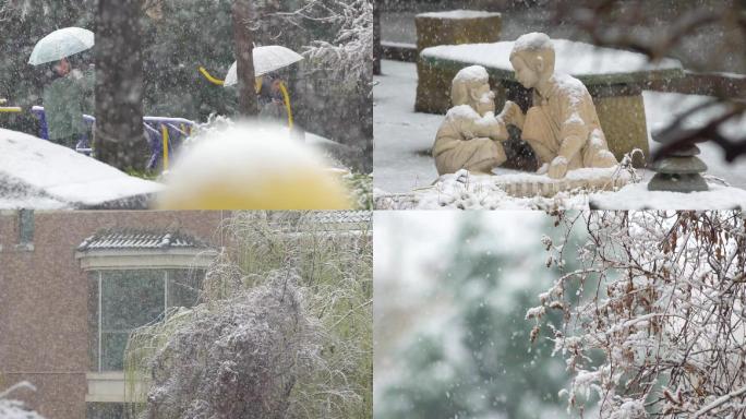 雪景春雪鹅毛大雪下雪高速镜头