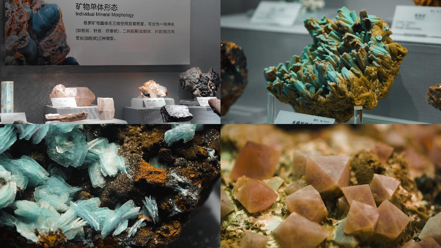 4K地质博物馆矿产矿石样本展厅