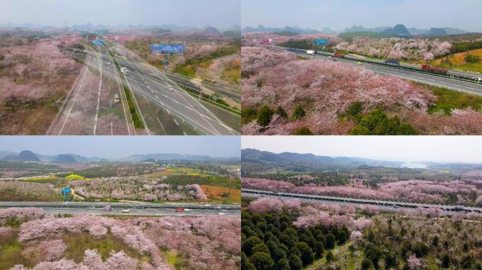 穿过樱花丛的高速公路（4K素材)