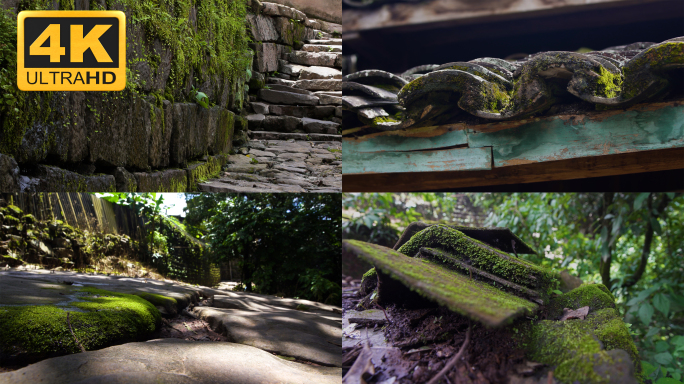 ▌4K▐云南普洱茶山倚邦茶马古道