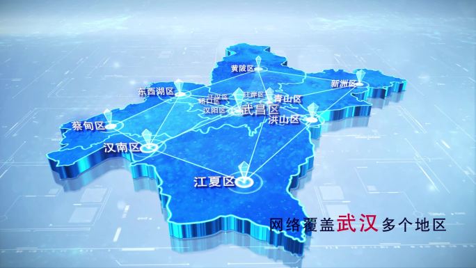 【武汉地图】两款蓝白武汉市地图