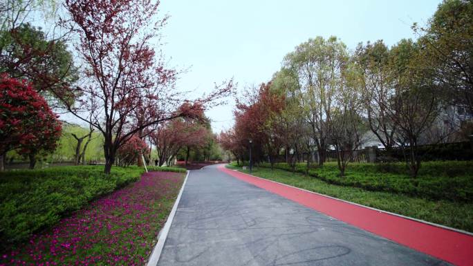 公园绿道跑步骑车健身跑道
