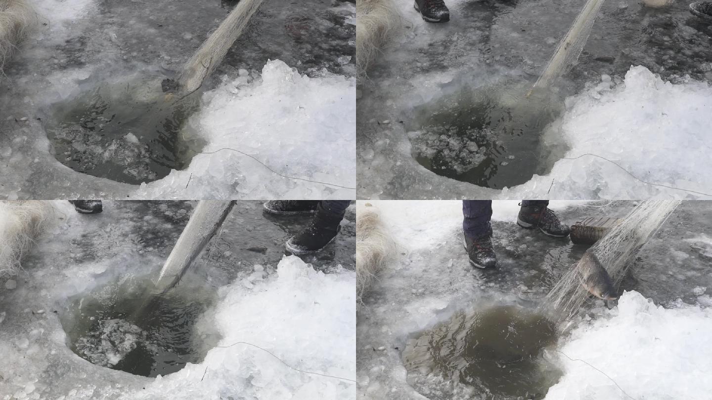 冬逋打鱼冬天结冰实拍慢动作