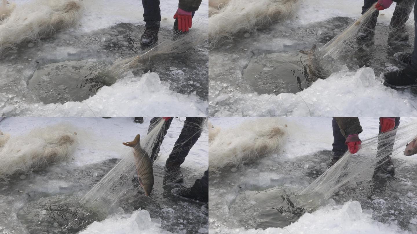 冬逋打鱼冬天结冰实拍慢动作