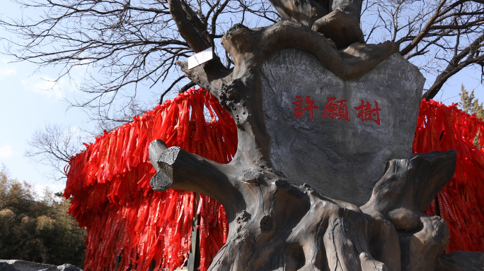 祈福，古树，冬天祝愿，许愿树