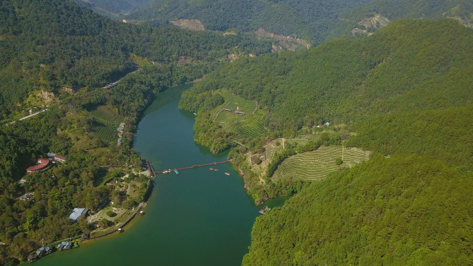 航拍龙岩漳平九鹏溪茶山樱花