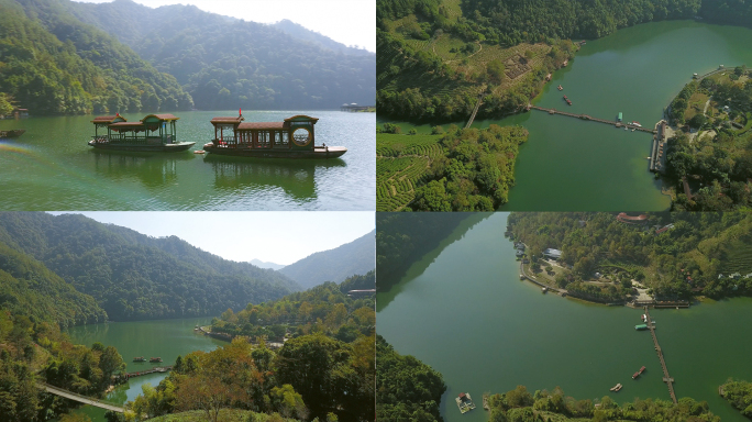 航拍龙岩漳平九鹏溪茶山樱花