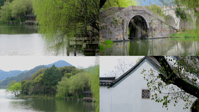 春天杭州湘湖风景区柳树树木嫩绿色的新叶