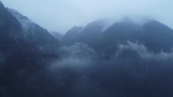 青城山云雾