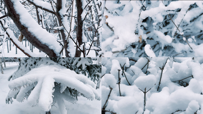 雪景实拍