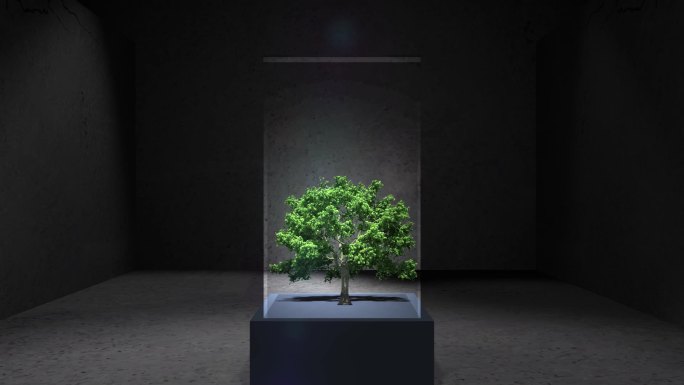 纯AE三维空间艺术生态展示概念绿树