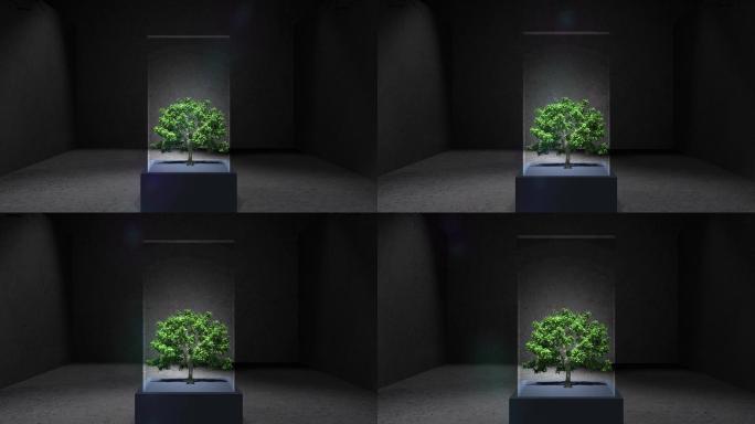 纯AE三维空间艺术生态展示概念绿树