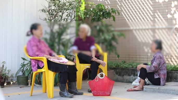 越南侨民聊天老人们聊天
