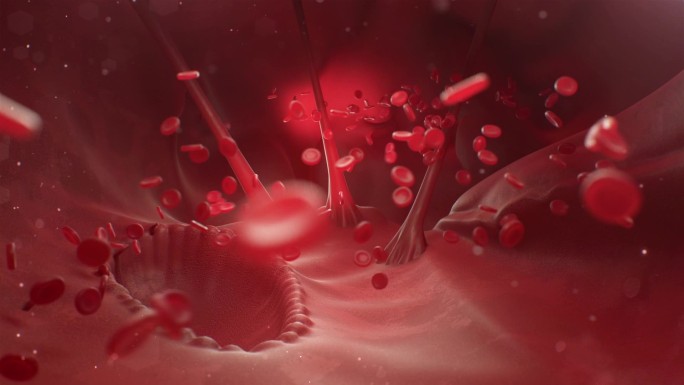 C4D血液血小板红细胞医学动画工程
