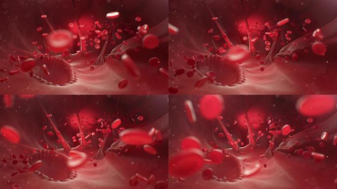 C4D血液血小板红细胞医学动画工程