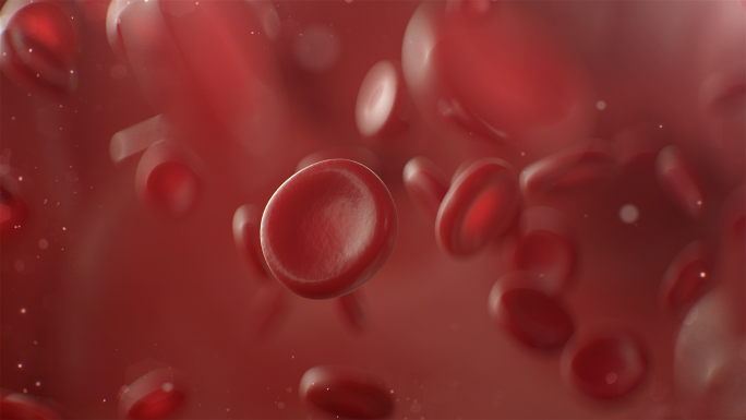 C4D工程血管血小板红细胞医学微观动画