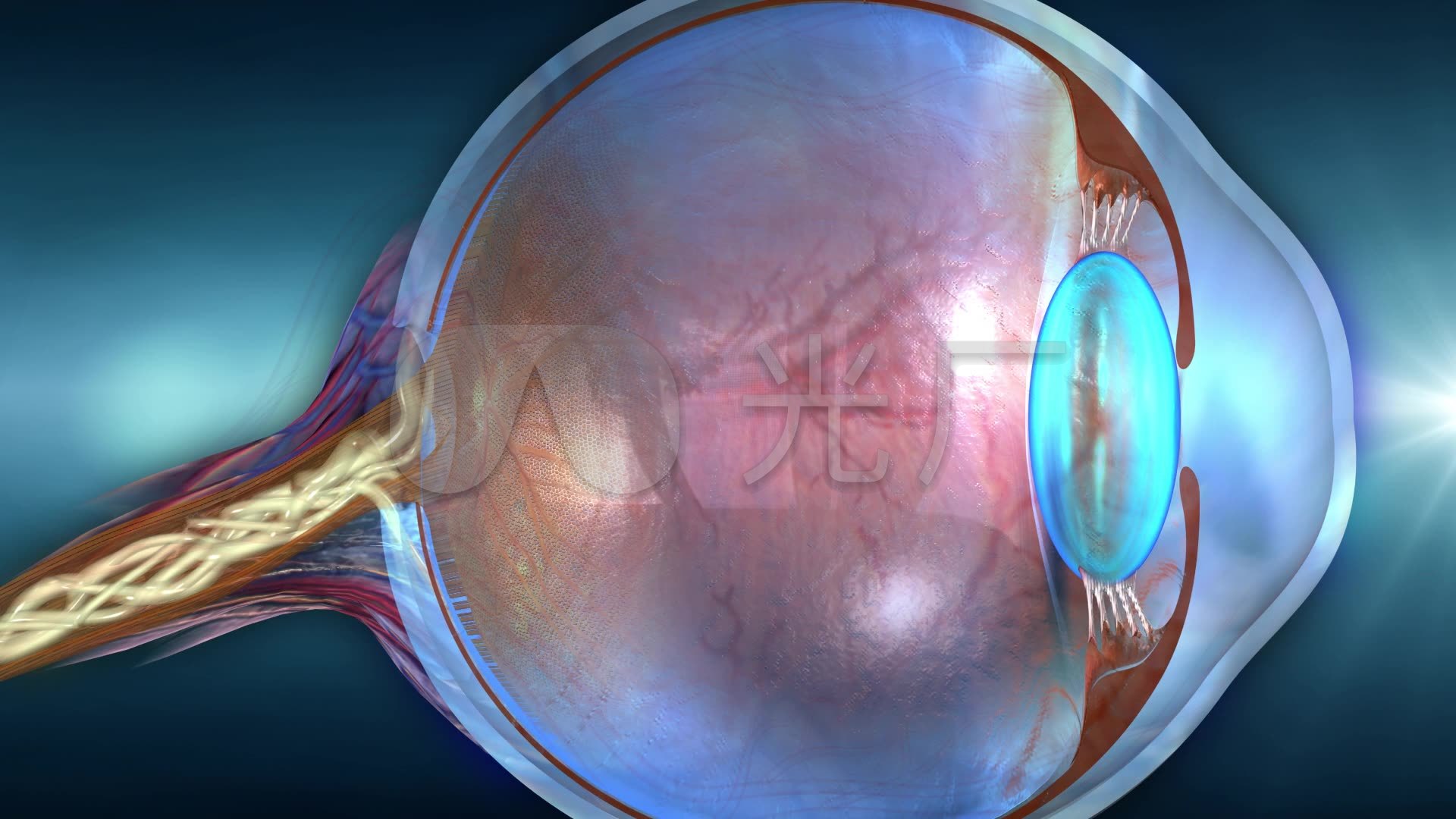 全球首款提供33厘米近视力的连续视程人工晶状体完成国内首台手术植入|界面新闻