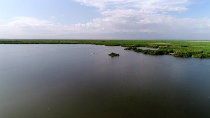 博斯腾湖