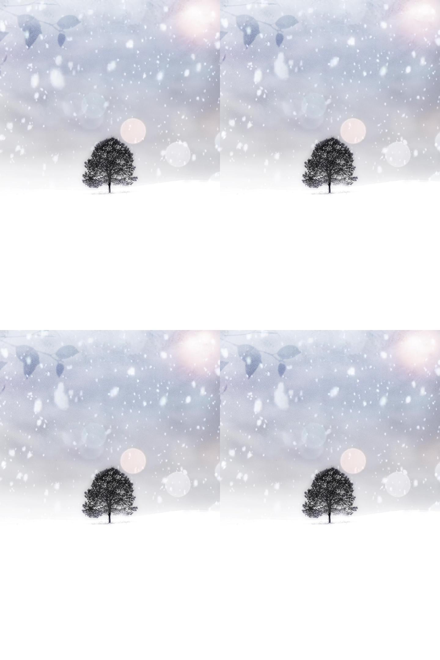 冰天雪地大雪纷飞中的一棵树循环视频素材