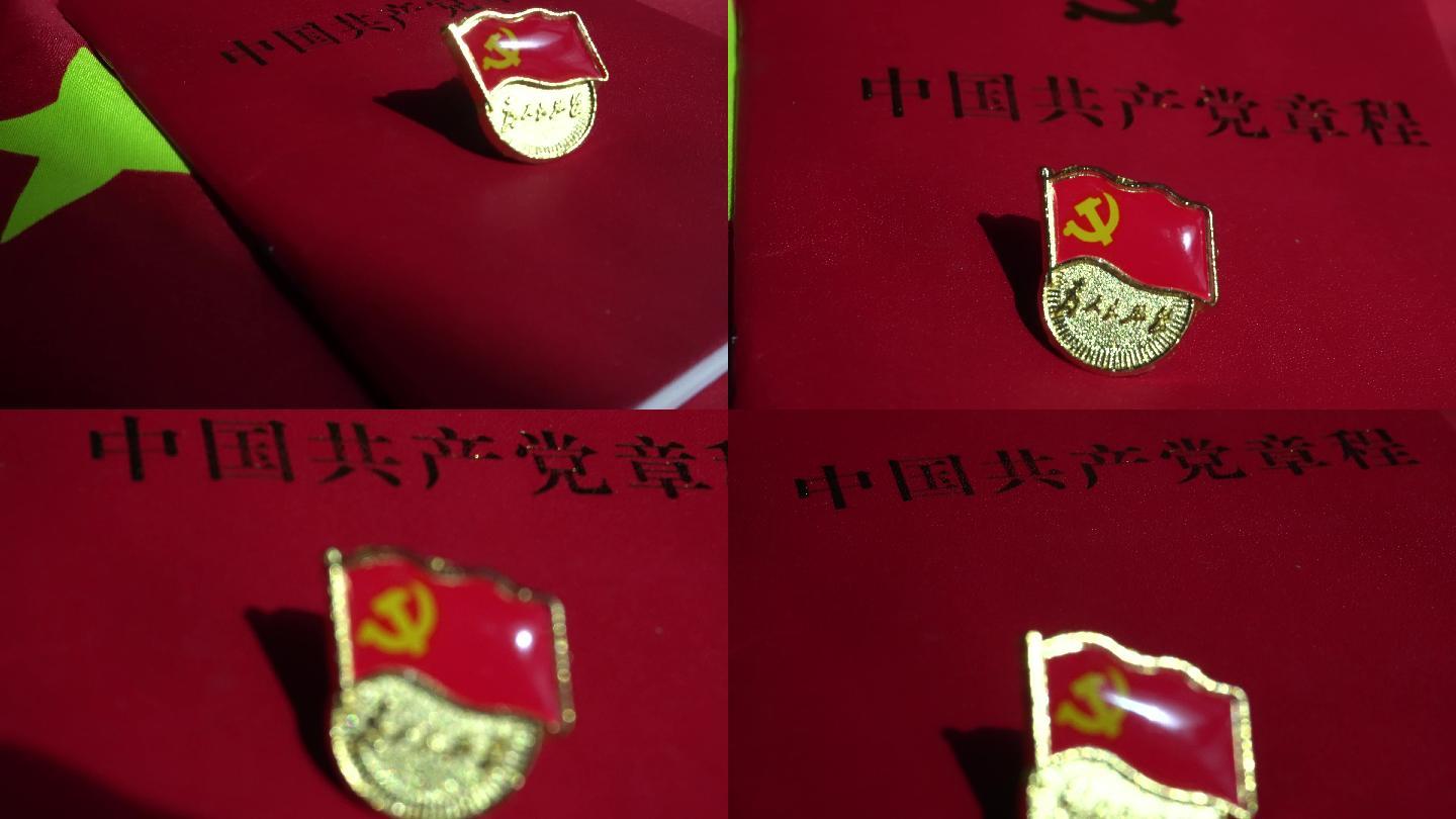 党徽共产党章程党章