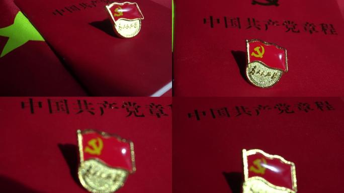 党徽共产党章程党章