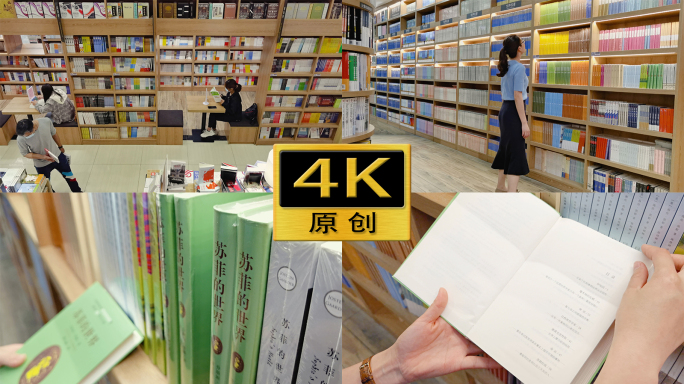 【4K60帧】图书馆阅读素材