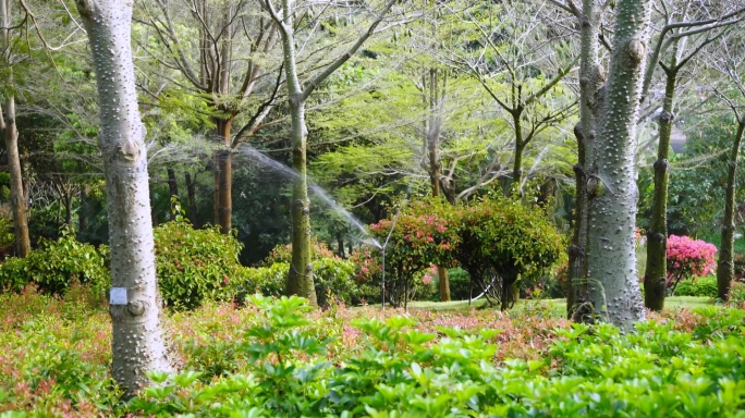 园林公园自动灌溉喷灌草地草坪自动浇水浇灌