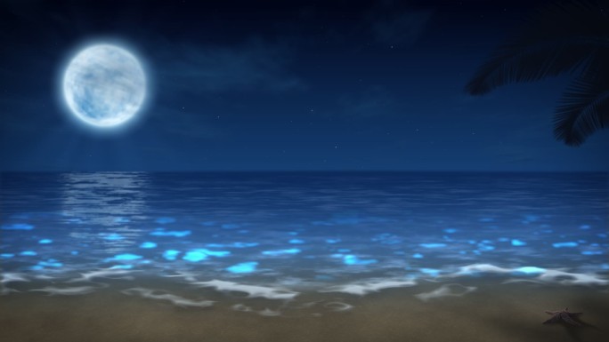 MG动画背景-海滩-夜晚-水母
