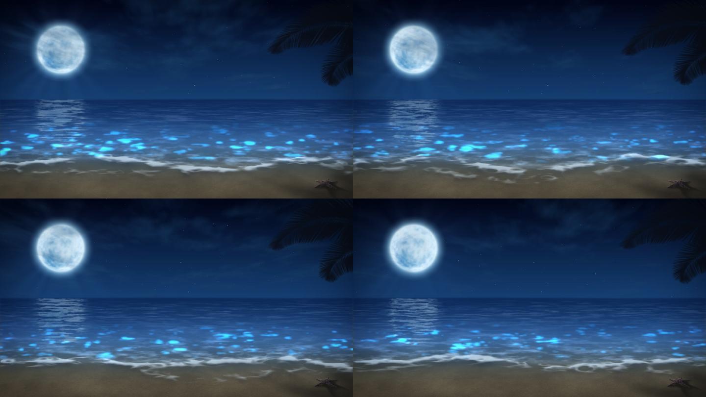MG动画背景-海滩-夜晚-水母