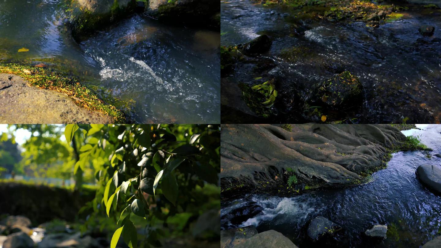 4K山间小溪河流大自然原生态