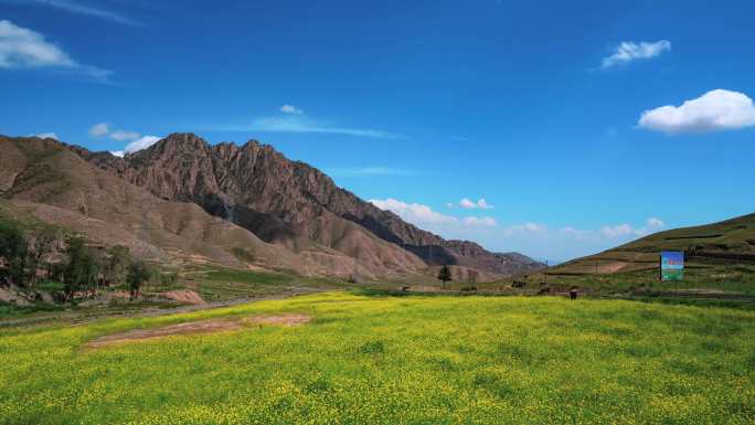 蓝天白云绿地油菜花延时摄影青山绿地4k