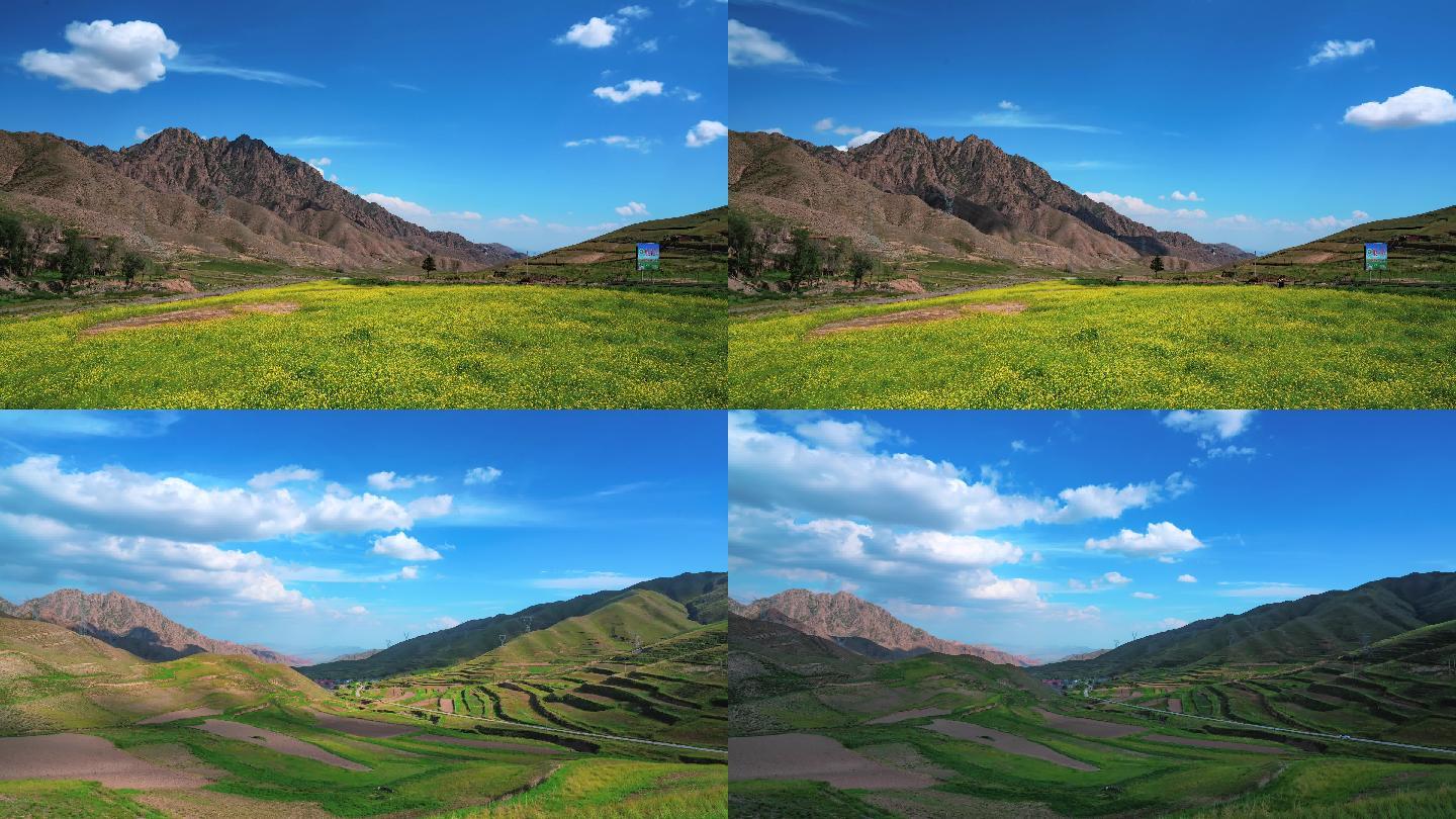 蓝天白云绿地油菜花延时摄影青山绿地4k